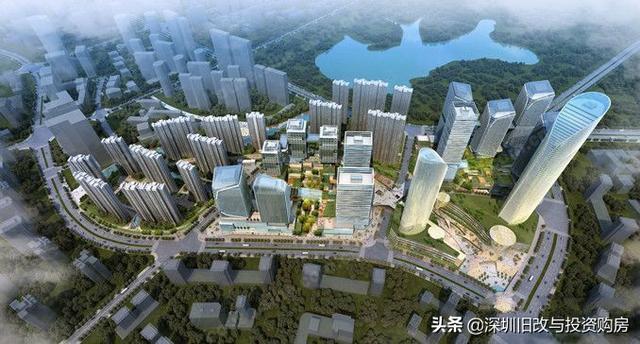 龍崗最新資訊，學(xué)習(xí)變革，自信成就未來(lái)之路