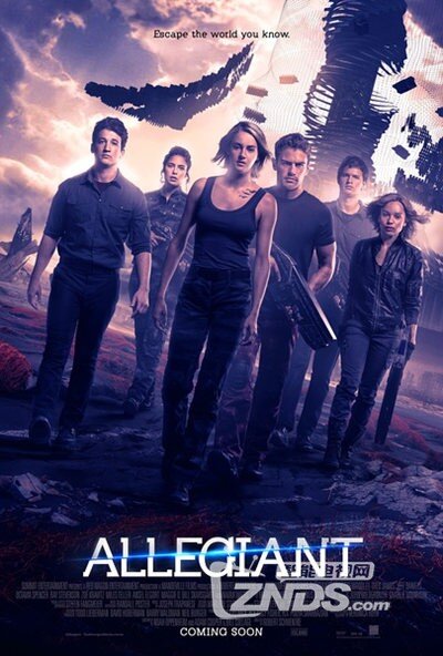 巷弄深處的影視寶藏，電影搶先版探秘