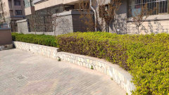 陽光國際城601，家的溫馨與友情深度鏈接的實(shí)景圖展示