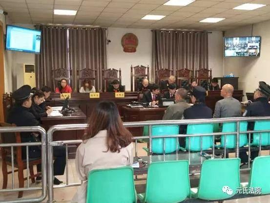 元氏最新案件，心靈與自然的神秘交織之旅