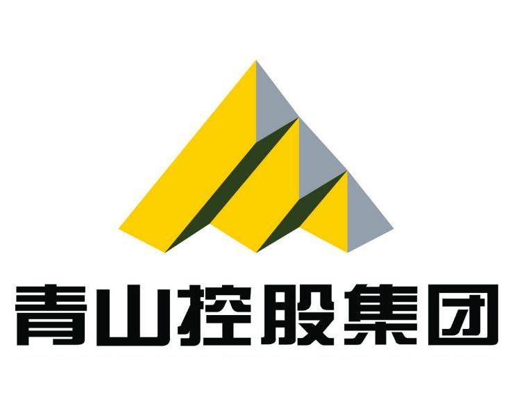 青山控股是否上市？解析其上市計(jì)劃與現(xiàn)狀