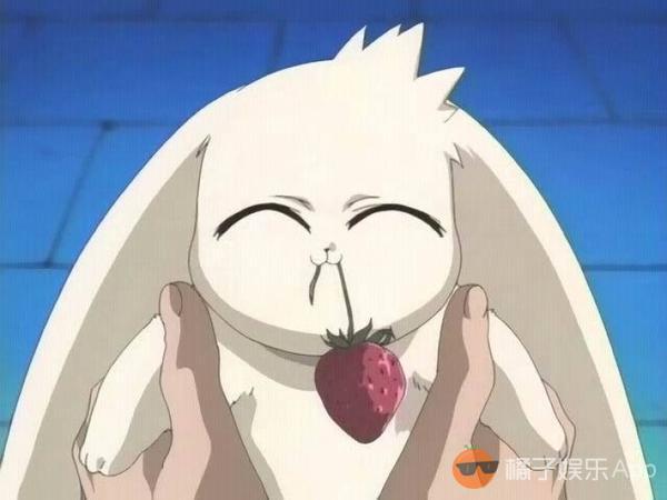 萌寵動漫圖片及其制作指南