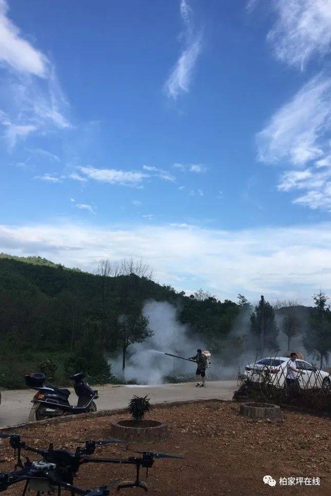 最新蝗蟲災(zāi)害動態(tài),最新蝗蟲災(zāi)害動態(tài)，應(yīng)對與防治的詳細步驟指南