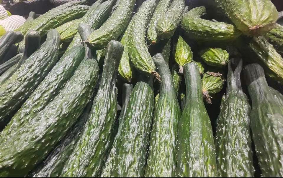 今日黃瓜價(jià)格行情走勢(shì)分析