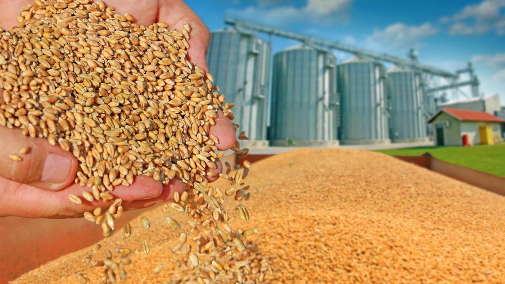 山東今日玉米市場價(jià)格,山東今日玉米市場價(jià)格分析與展望