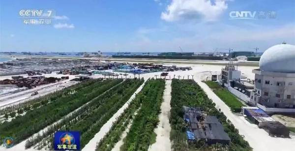 南沙島礁建設(shè)最新進(jìn)展揭秘，南沙建設(shè)進(jìn)展圖片探秘與小巷深處的神秘寶藏