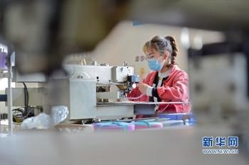 泉州市包袋廠招聘信息揭秘，小巷中的獨(dú)特工廠探秘之旅