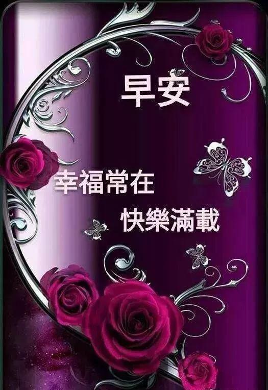 微信電腦版更新指南，詳細(xì)步驟教程