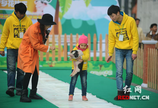 抱豬比賽，歡樂(lè)無(wú)限，盡享激情時(shí)刻！