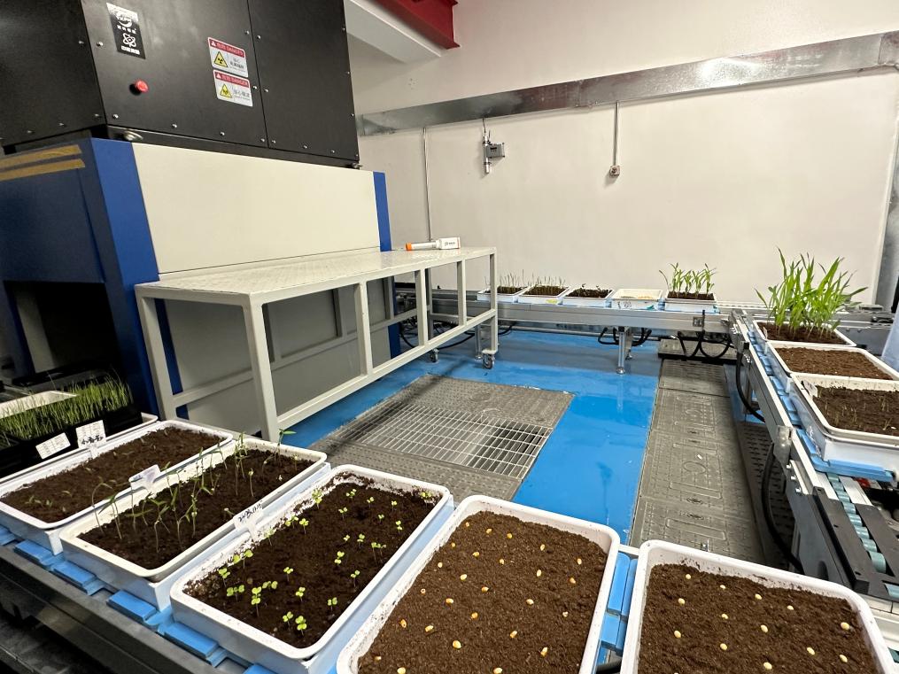 喬元利最新動態(tài)，成長軌跡揭秘與未來展望