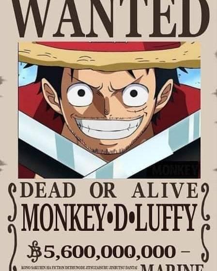 草帽團(tuán)最新懸賞任務(wù)，海洋之謎與友情之溫暖探索之旅