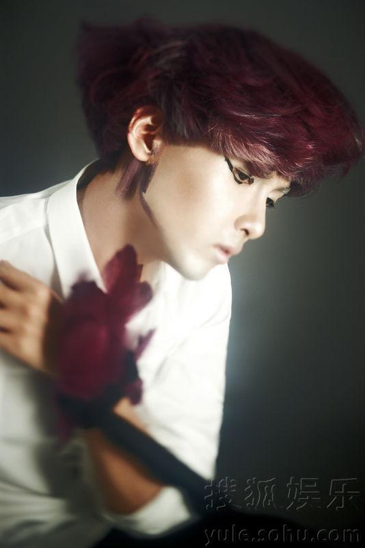 SJ明星揭秘，探索自然美景之旅，尋找內(nèi)心的平靜與喜悅之旅