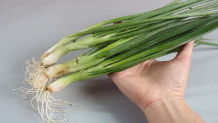 隆化新鮮資訊,隆化新鮮資訊，高科技產(chǎn)品引領(lǐng)未來，體驗前所未有的智能生活