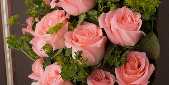 今晚9點(diǎn)30開(kāi)什么生肖明 2024,快速問(wèn)題處理_藝術(shù)版28.771