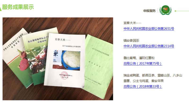 王中王資料大全料大全1,快速解決方式指南_視頻版89.754
