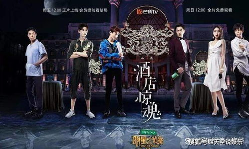 明星大偵探第八季免費(fèi)觀看，心靈與自然的奇妙探險之旅