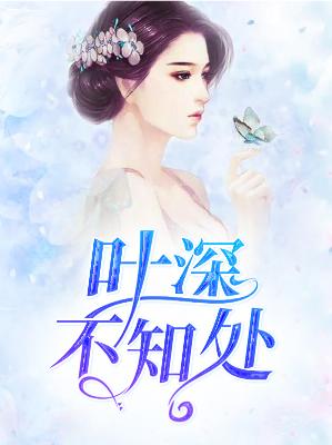 葉見最新章節(jié)深度解析與觀點爭議概述