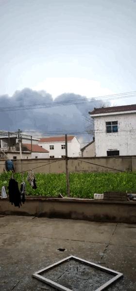 灌南最新動態(tài)，自然美景探索之旅的治愈力量