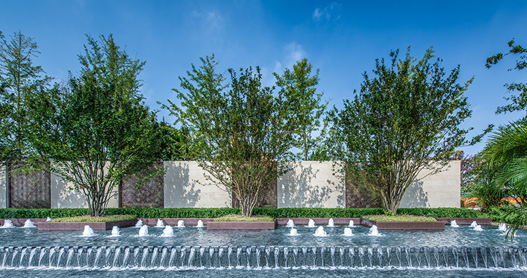 旭輝七號(hào)院最新動(dòng)態(tài)，鄰里溫情日常揭秘