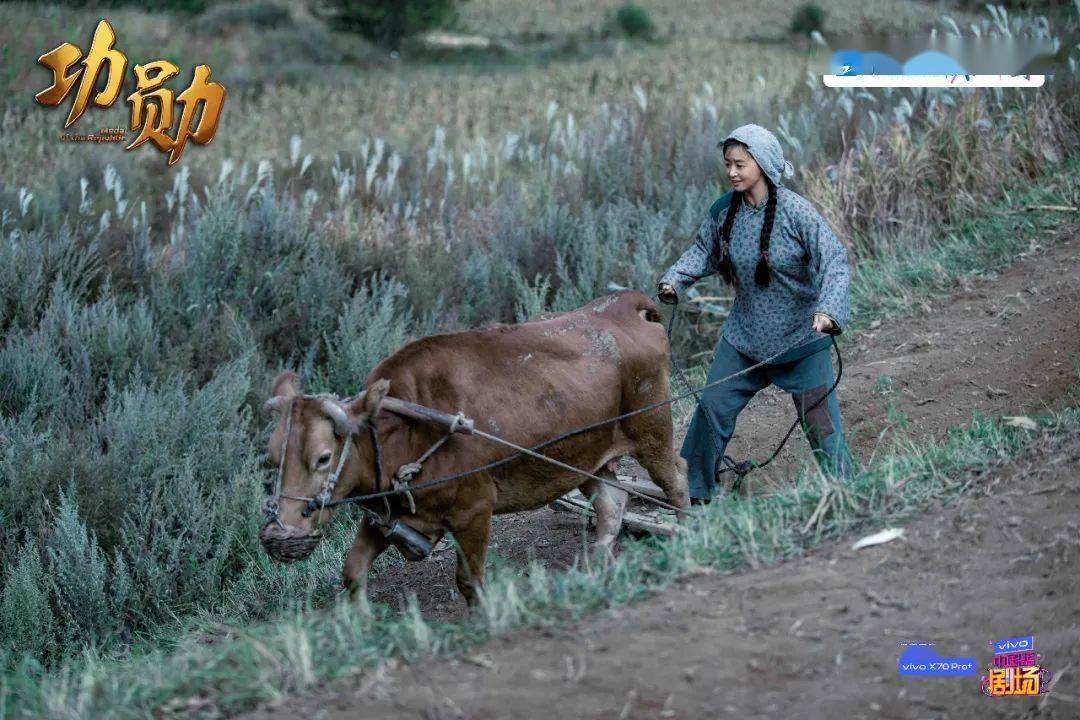 申紀(jì)蘭演員表制作指南，從初學(xué)者到進(jìn)階用戶的步驟參考