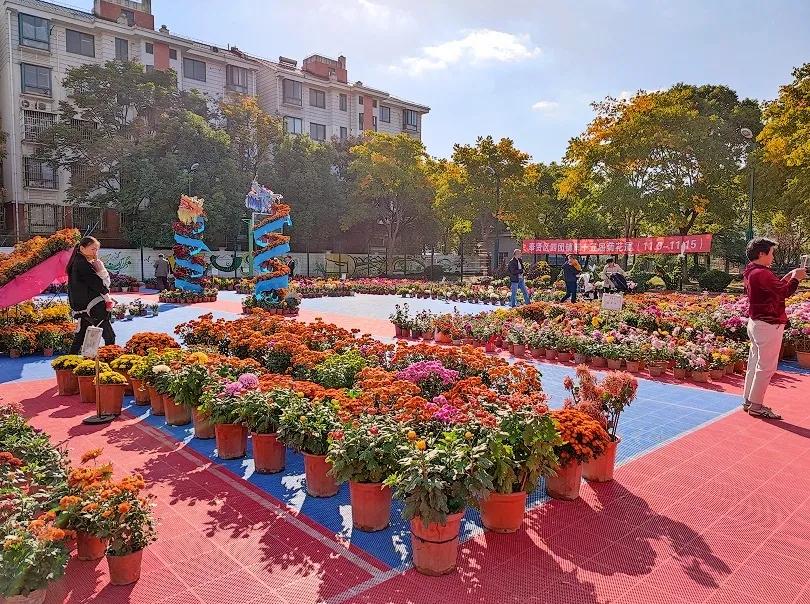 電影滿城盡是黃金甲,電影滿城盡是黃金甲，權(quán)力與欲望的交織