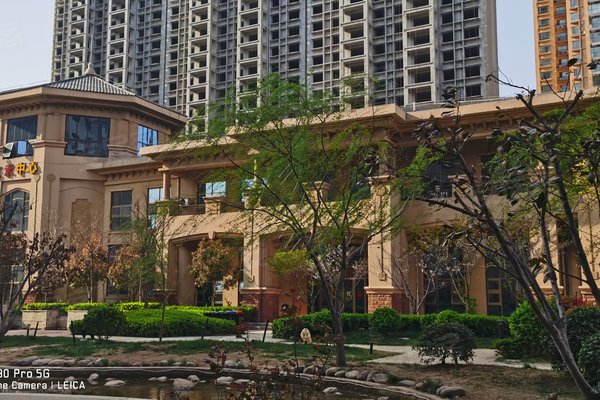 安陽帕提歐，巷深美食秘境，最新資訊盡在其中！