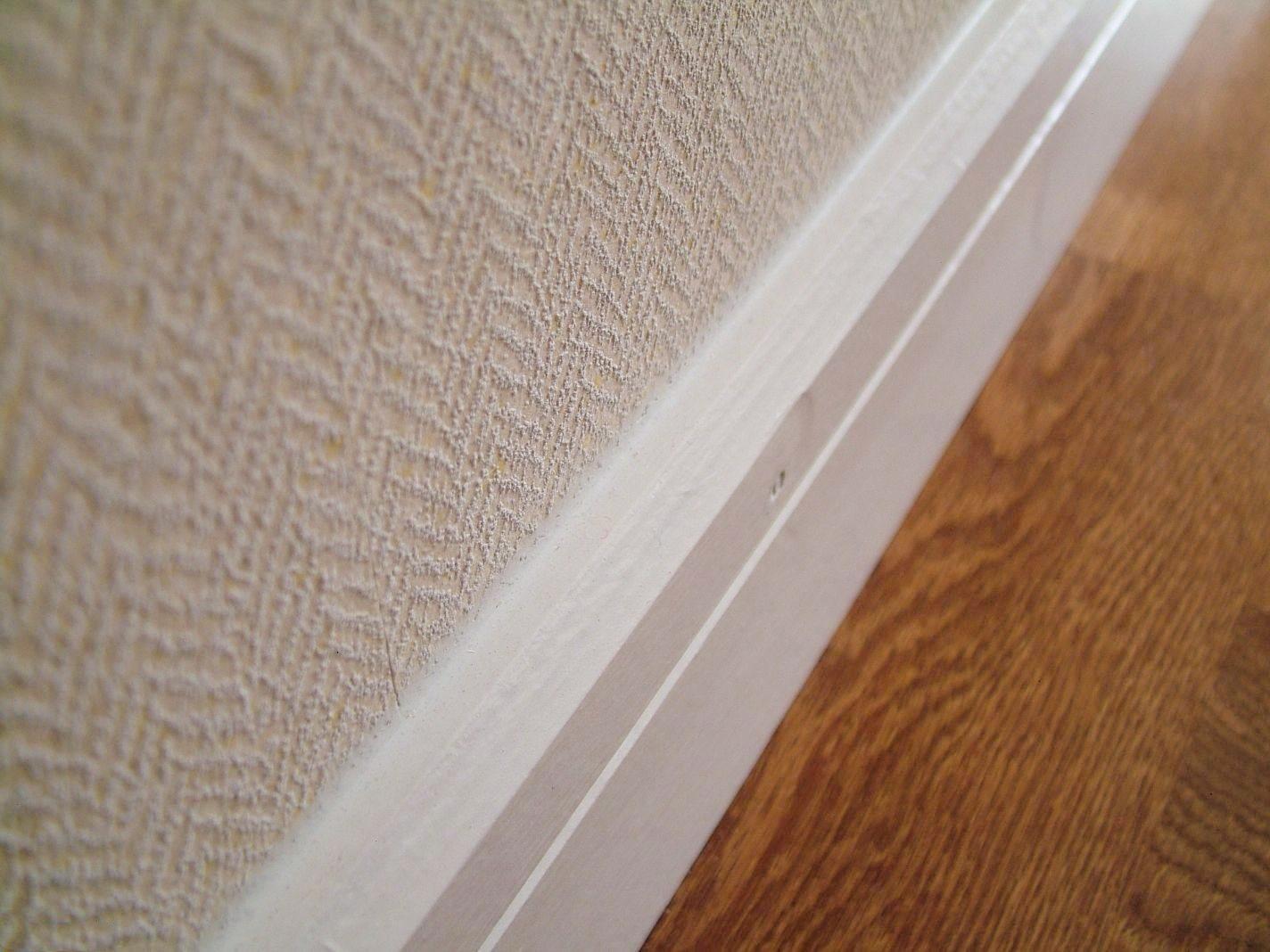 溫馨日常與友情紐帶，愛(ài)與陪伴的溫馨故事