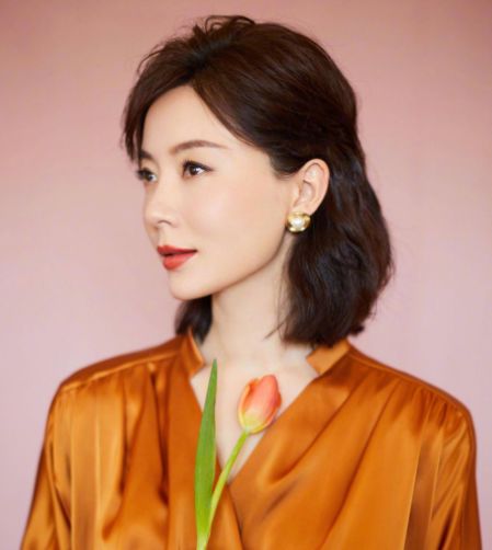 陳數(shù)老公揭秘，深度解析與觀點闡述