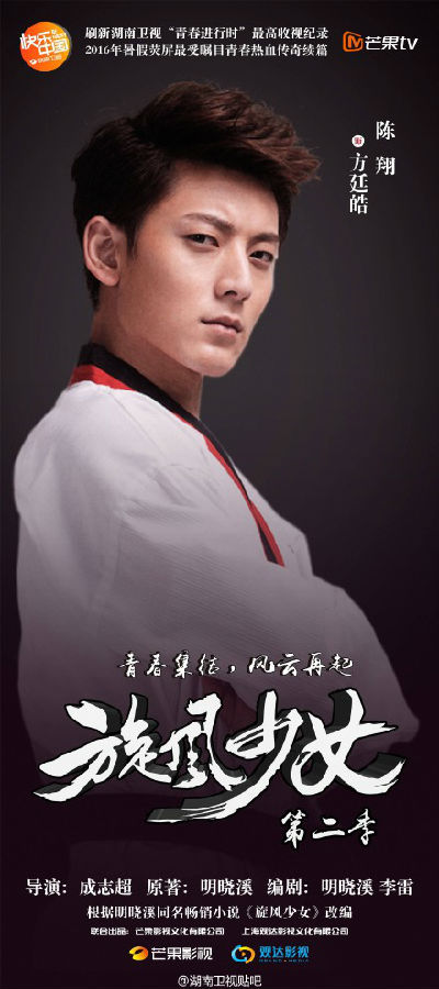 旋風(fēng)少女2演員表深度解析，角色與演員匹配度探究