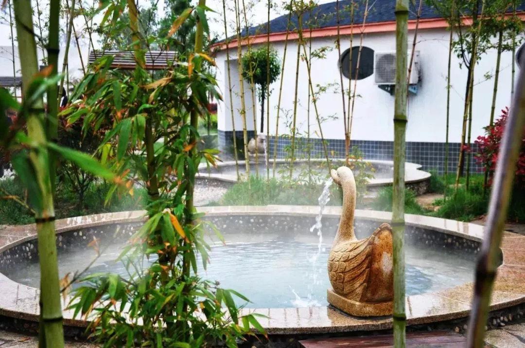 溫泉招聘信息，探索自然美景之旅，開啟心靈平靜與喜悅的旅程