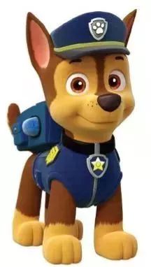 最新阿奇資訊，學(xué)習(xí)變革，擁抱自信成就的力量