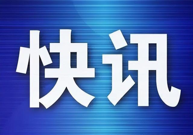 揭秘2025年最新存款利率信息及其背后的溫馨故事