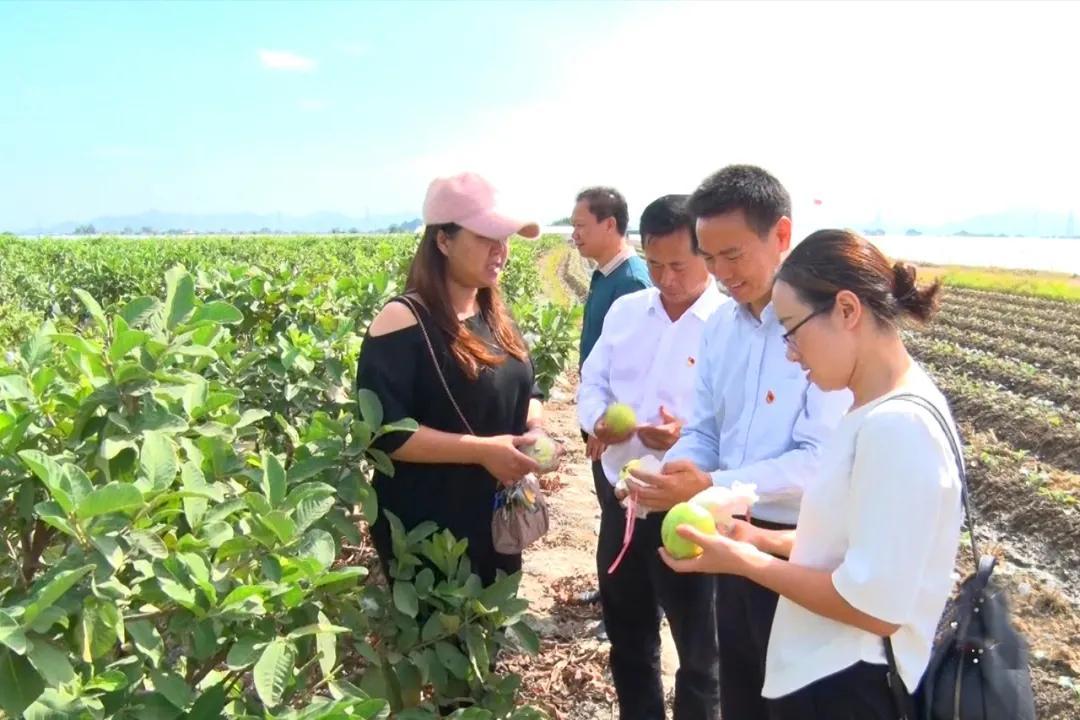 58同城海豐最新職位招聘，與自然美景同行，尋找內(nèi)心的平和寧?kù)o之旅