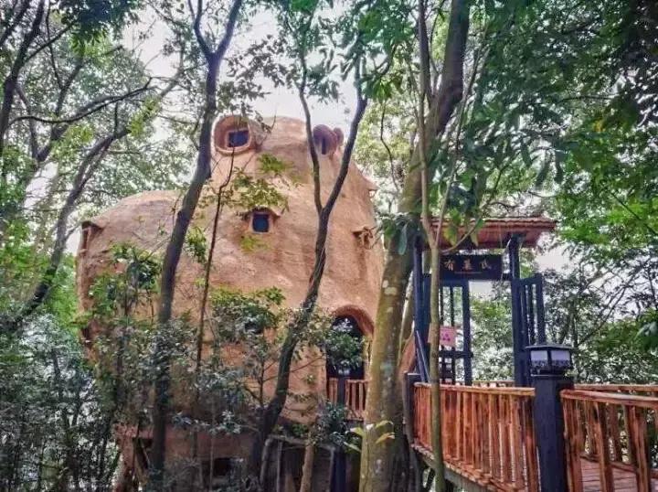 清遠(yuǎn)房價最新動態(tài)及市場走勢分析與個人觀點概述