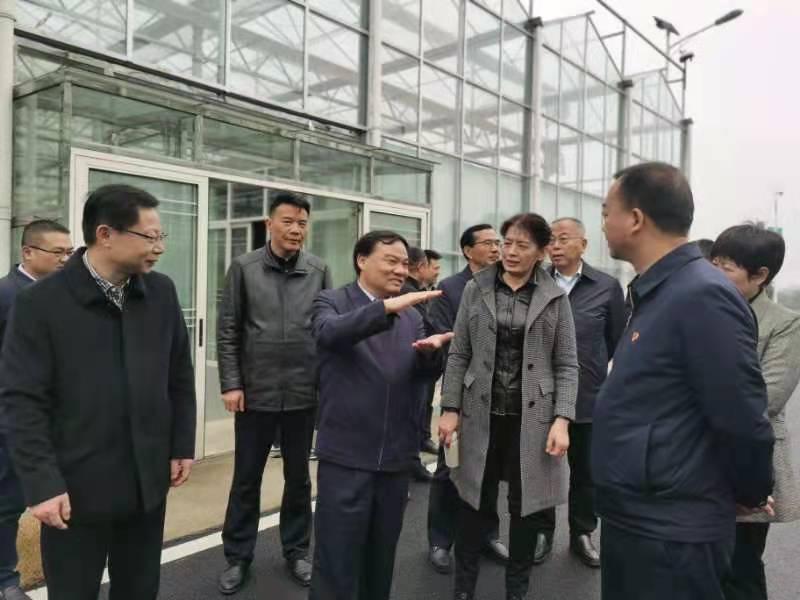 金博地最新動(dòng)態(tài)，引領(lǐng)創(chuàng)新，塑造未來(lái)藍(lán)圖之路