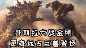 深度解析最新泰坦卡的優(yōu)勢(shì)與挑戰(zhàn)