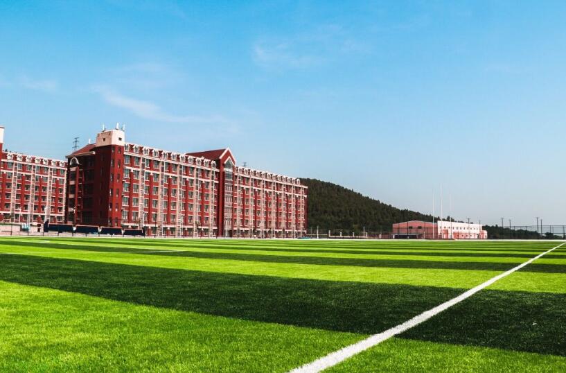 山東大學(xué)動漫設(shè)計專業(yè)，自然美景中的探索之旅