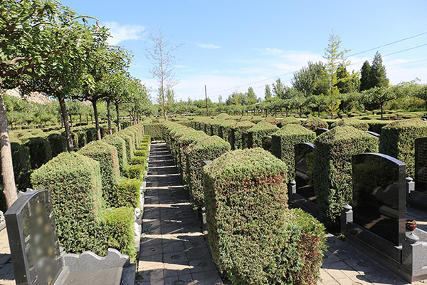 北京墓地價格指南，如何選購與購買墓地？