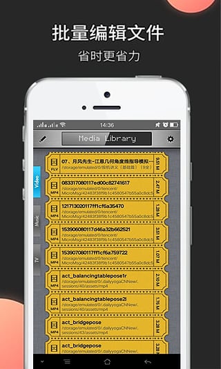 Wiboxls最新版3.3.3，技術革新的里程碑