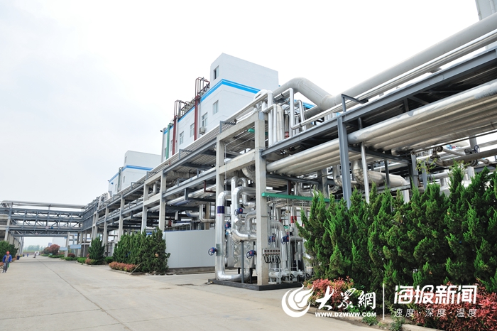 定陶賽托生物上市，變化中的學(xué)習(xí)成就自信與輝煌