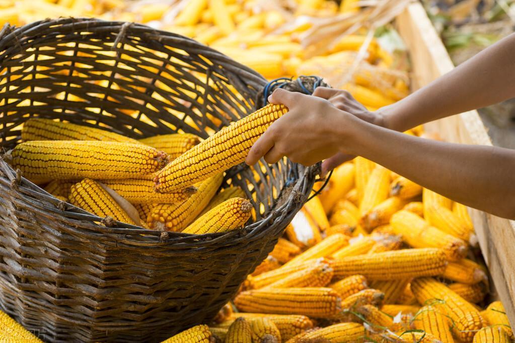 漁具配件 第62頁(yè)