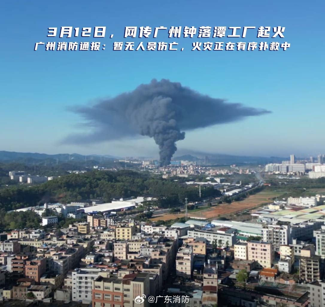 端州火災(zāi)最新情況及分析報(bào)告