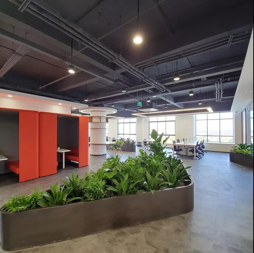 最新申報導(dǎo)師制度，利弊分析與個人觀點探討