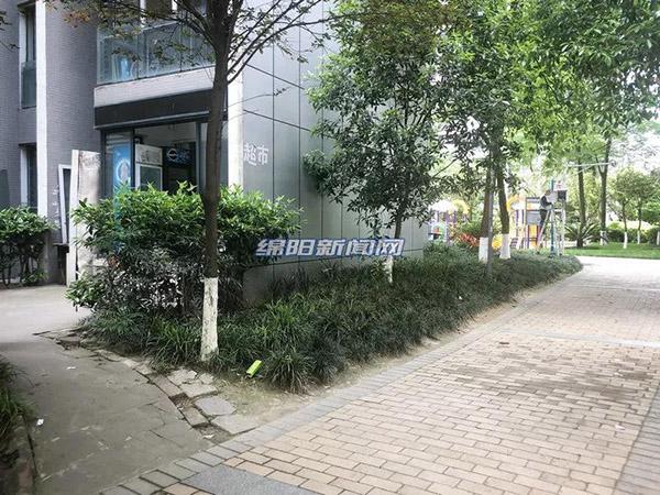 探索新時代的變遷與機(jī)遇，最新進(jìn)出肖動態(tài)報道