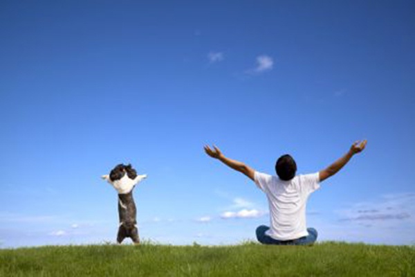 月丘最新視頻，高科技重塑生活，體驗(yàn)未來科技的魅力