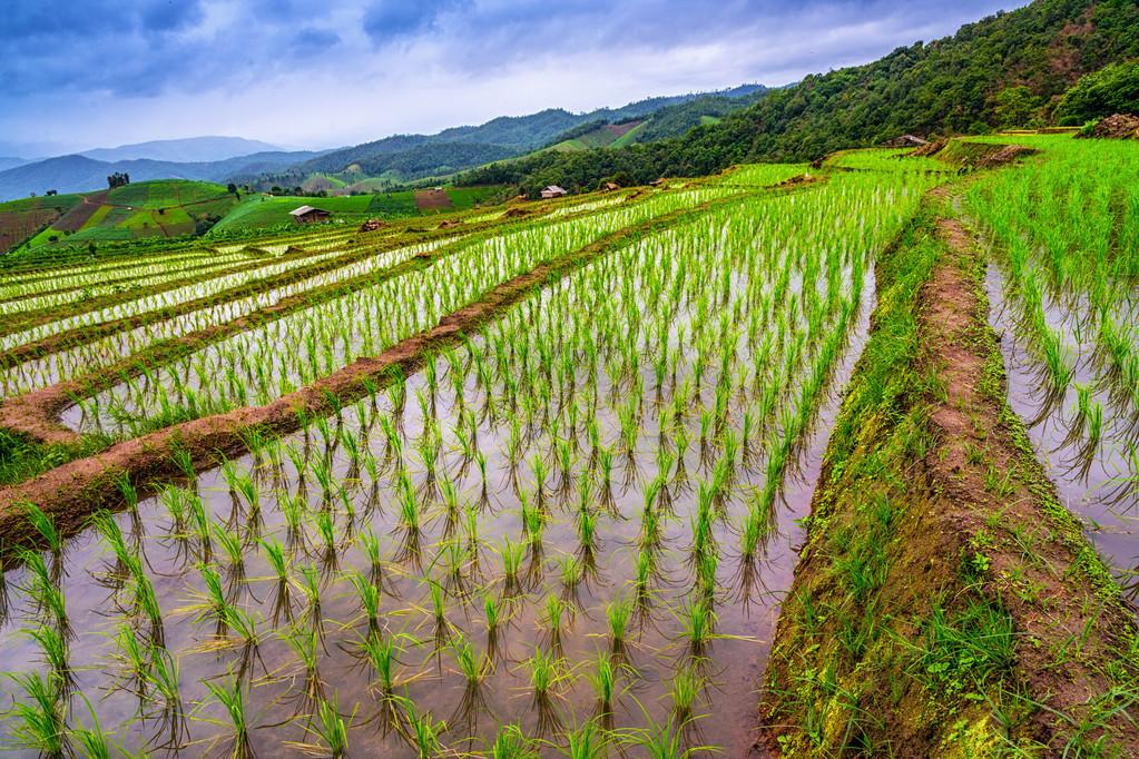 金屬?zèng)_壓模具的加工銷售 第59頁(yè)