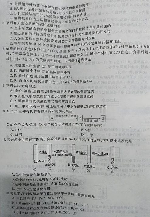 最新概念答案，擁抱變化，自信成就夢想之旅