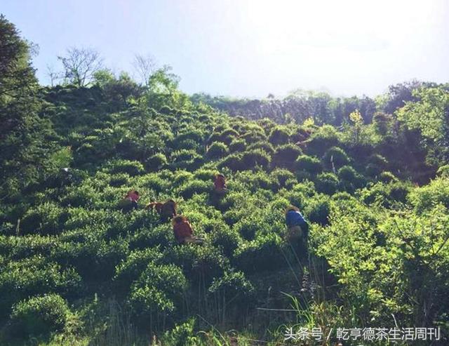 宣城新冠病毒防護(hù)指南，最新防護(hù)策略及應(yīng)對(duì)方法