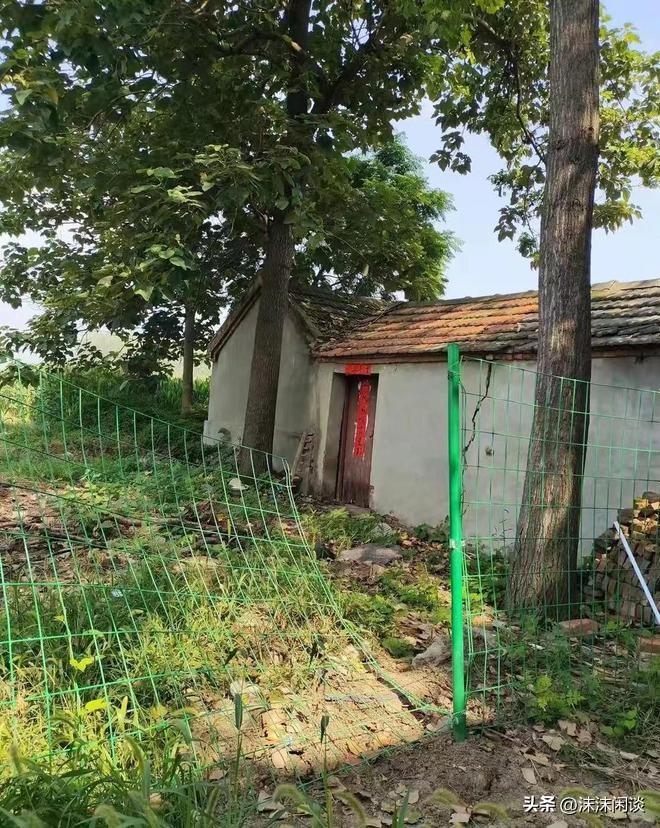 網(wǎng)曝門最新動(dòng)態(tài)，任務(wù)完成與技能學(xué)習(xí)指南全攻略