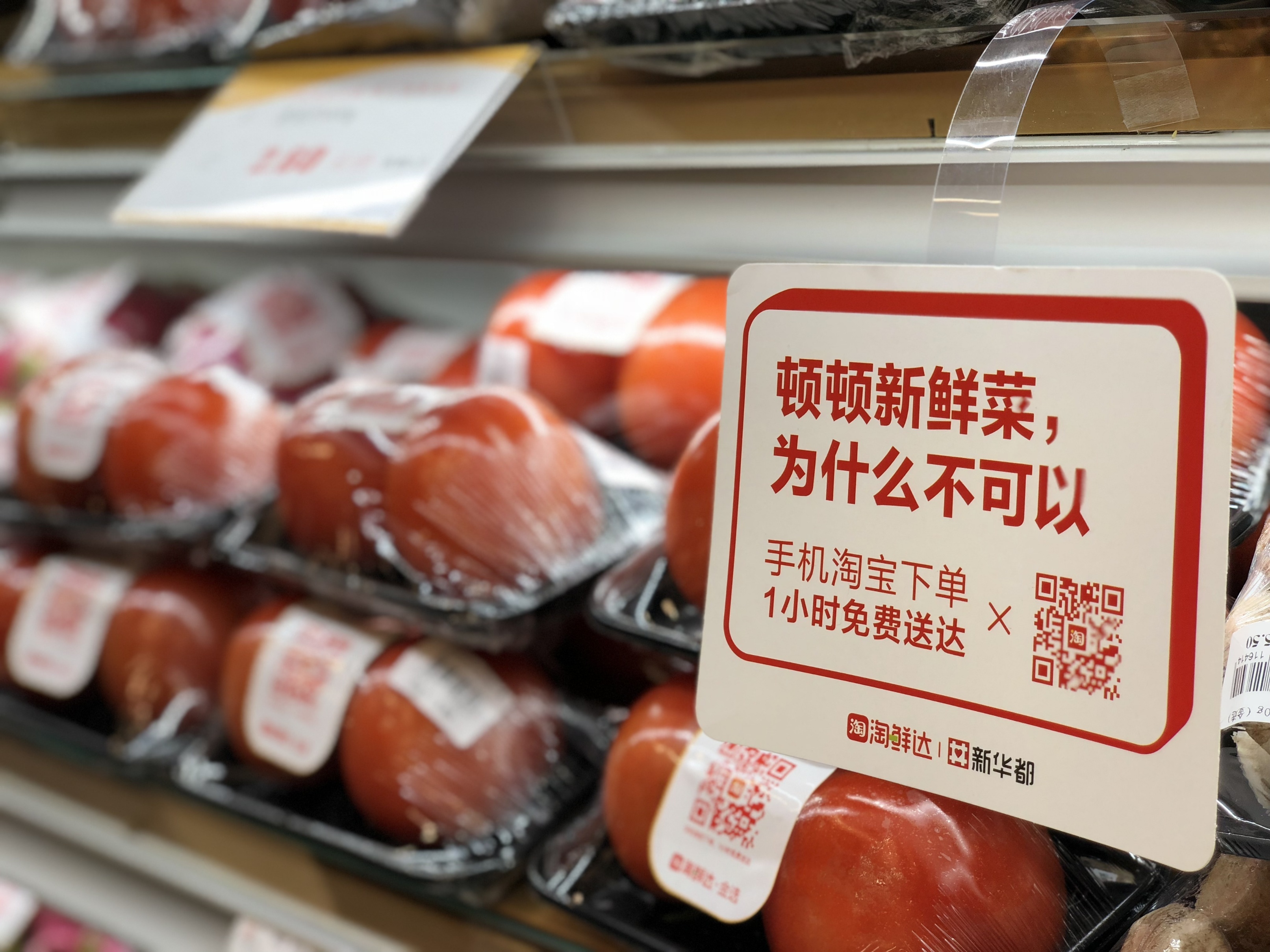 小巷中的秘密美食天堂，淘最新鮮美食之旅